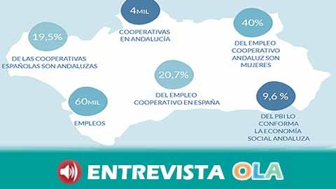 Andalucía, región con más cooperativas y empleo