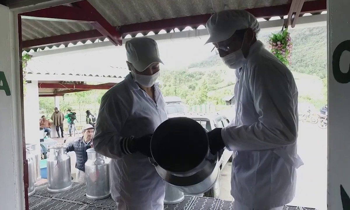 Cooperativas agrícolas trabajan por la alimentación de Colombia