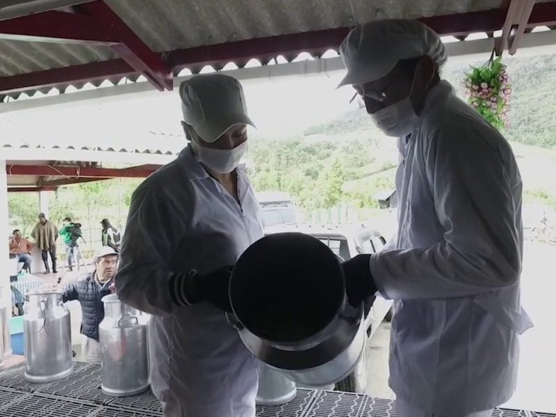 Cooperativas agrícolas trabajan por la alimentación de Colombia