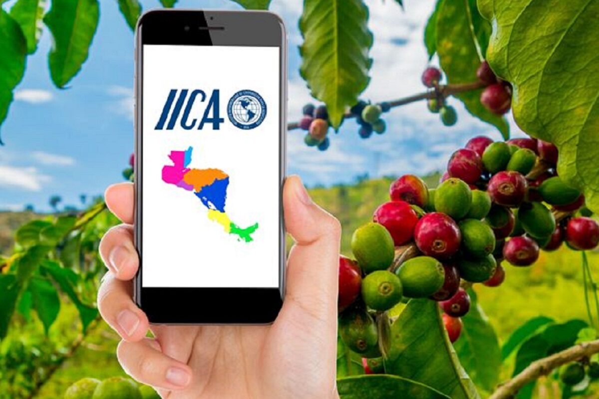 IICA y Cooperativas de las Américas hacen encuesta para digitalizar la agricultura familiar